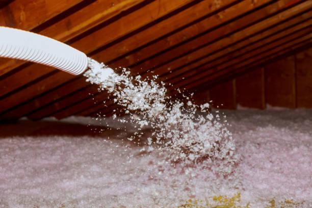 Best Insulation Maintenance and Repair in Grandview Plaza, KS